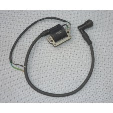 IGNITION COIL WITH CONNECTOR - ROBBY